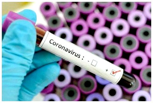 Коронавирус или уханьская пневмония: что мне нужно знать?