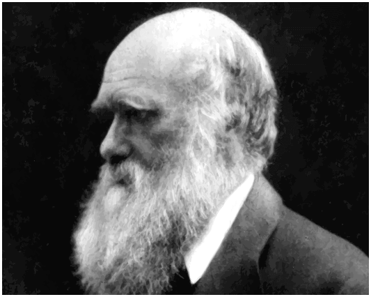 Дарвиновская теория происхождения религий