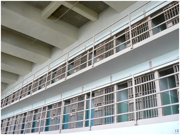 Тюремное социальное образование