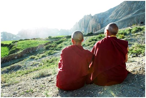 Тибетские монахи, удивившие ученых Гарварда