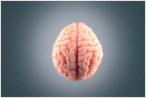 Восемь удивительных идей о том, как работает ваш мозг
