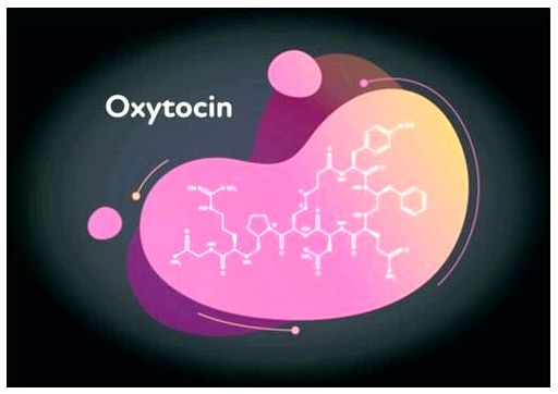 Доверие, щедрость, привязанность: польза окситоцина