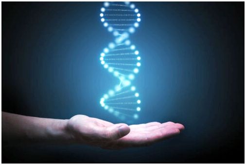 Что такое поведенческая генетика?