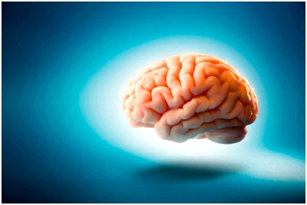 Нейробиология принятия решений: что происходит в мозге, когда мы принимаем решения?