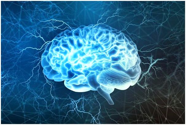 Согласно исследованию, мозг создает новые нейроны до 90 лет.