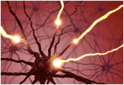 Что такое нейрогенез?