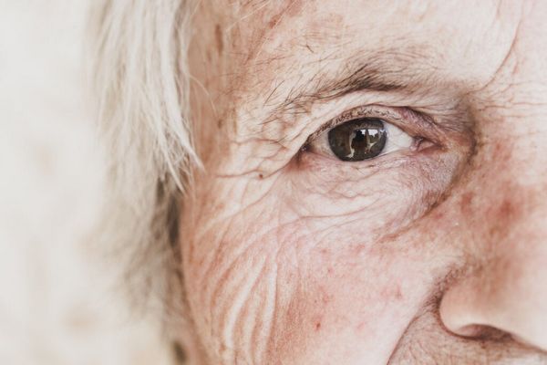 Теории старения: почему мы стареем?