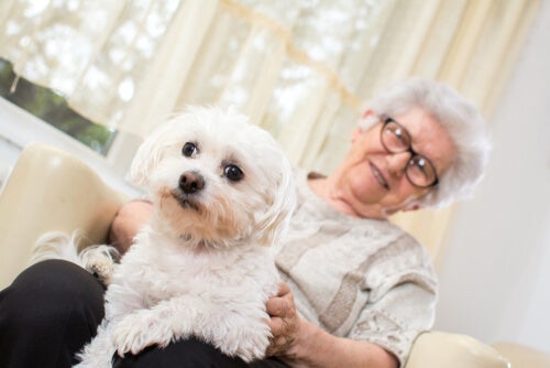 Терапия с применением животных у людей с болезнью Альцгеймера