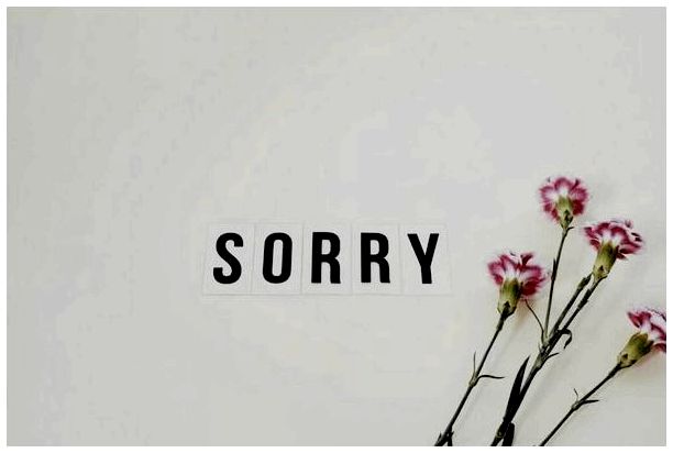 Как извиниться: 6 основных шагов