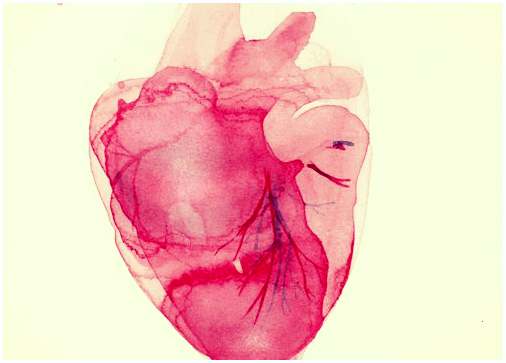 Синдром разбитого сердца: очень часто встречается у женщин
