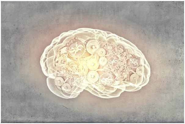 Педагогическая модель четырех мозгов