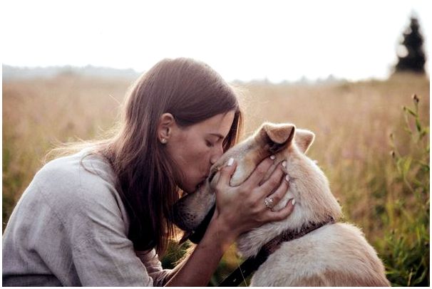 Любовь к животным: от чего она зависит и как влияет на нас?
