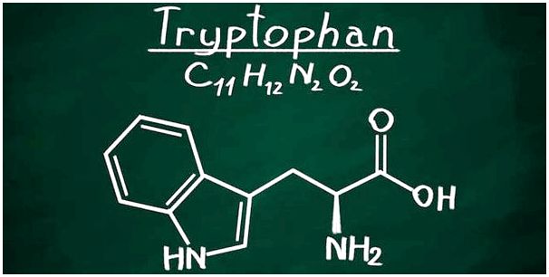 Триптофан, аминокислота хорошего самочувствия и настроения