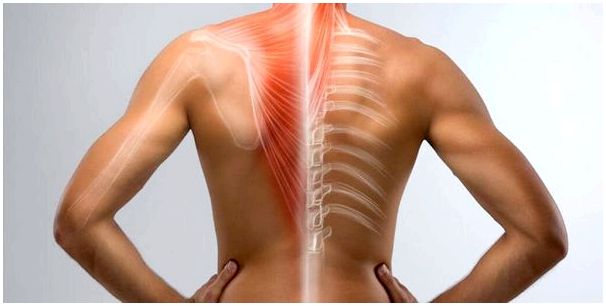 Беспокойство и боль в спине: почему это происходит? Что я могу сделать?