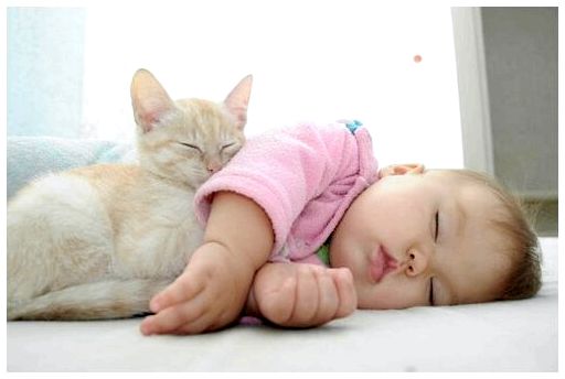 Животные и младенцы: преимущества совместного взросления