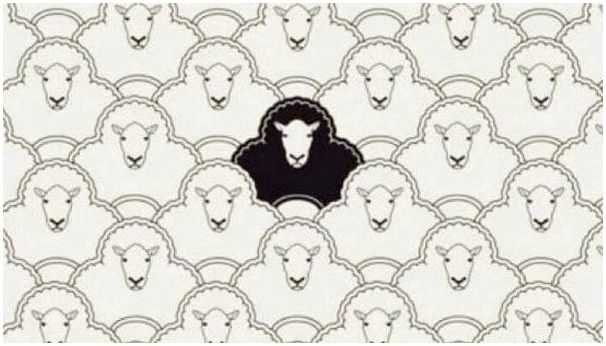 Паршивая овца - это не плохо: она просто другая
