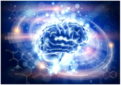 Когнитивная нейробиология, новая перспектива взаимоотношений разума и мозга