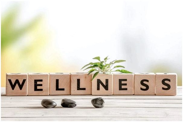 Discover Wellness: целостное здоровье и баланс «тело-разум»