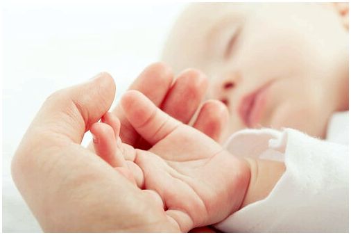 Согласно исследованию, аисты приносят младенцев