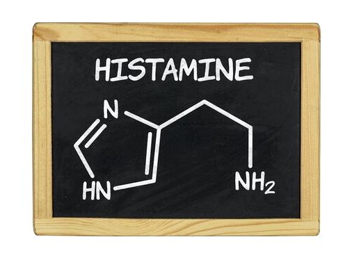 Гистамин: характеристики и функции
