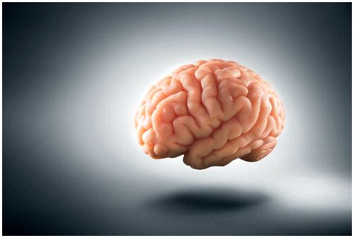 Визуализация мозга - лучший способ увидеть свой мозг
